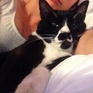 Meet your Posher, Stacey